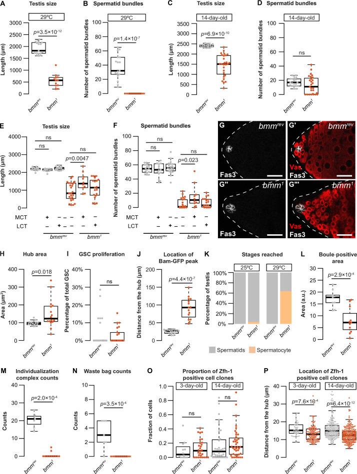 https://cdn.ncbi.nlm.nih.gov/pmc/blobs/2b4d/11132686/09b5da81b493/elife-87523-fig4-figsupp1.jpg