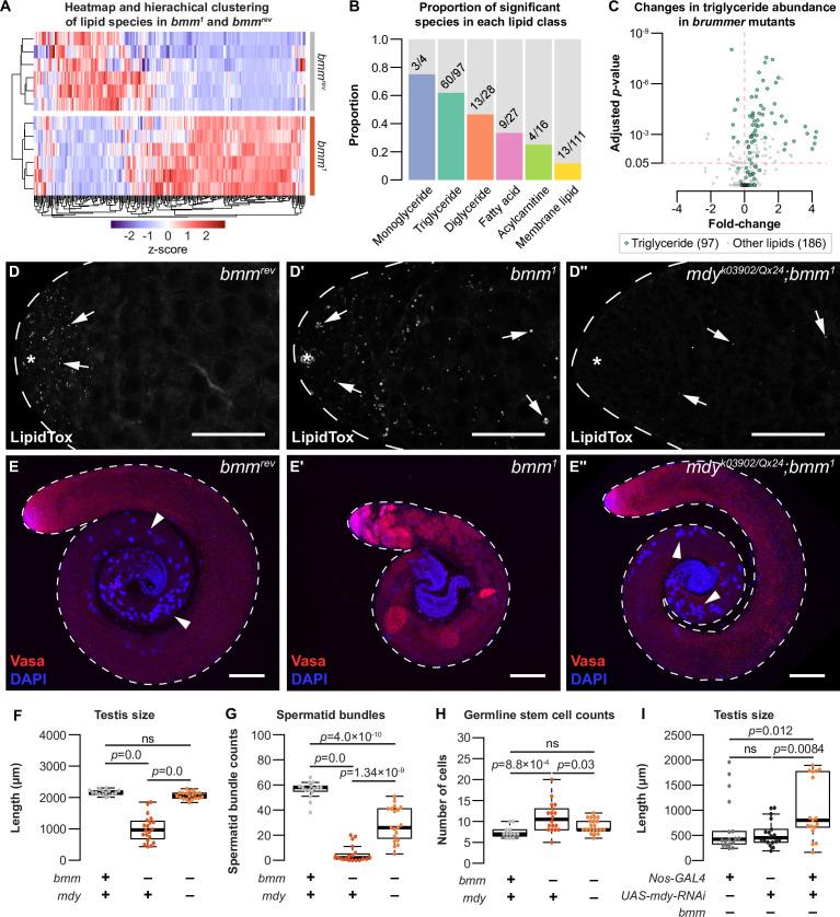 https://cdn.ncbi.nlm.nih.gov/pmc/blobs/2b4d/11132686/a8e35e276b61/elife-87523-fig5.jpg