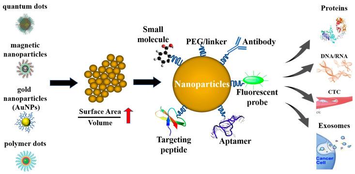 https://cdn.ncbi.nlm.nih.gov/pmc/blobs/2b4d/12030376/8352c73d9fad/pharmaceutics-17-00479-g001.jpg