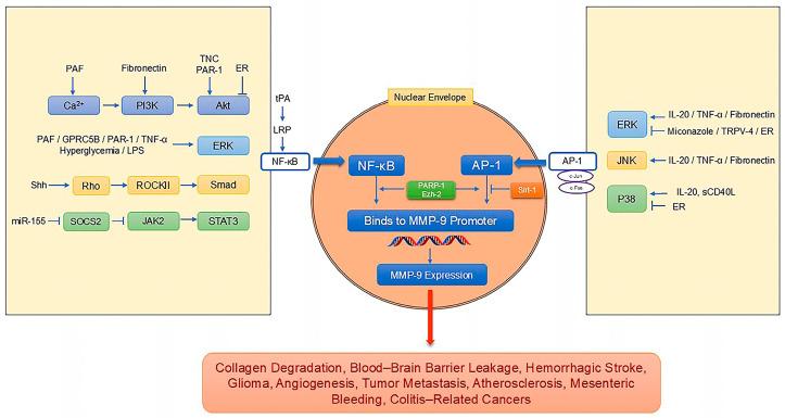 https://cdn.ncbi.nlm.nih.gov/pmc/blobs/2b4d/12030376/97204616d321/pharmaceutics-17-00479-g002.jpg