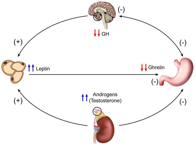 https://cdn.ncbi.nlm.nih.gov/pmc/blobs/2b50/4175729/2777b9eaf594/srep06478-f2.jpg