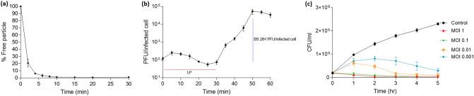 https://cdn.ncbi.nlm.nih.gov/pmc/blobs/2b53/10345192/589c8ae20e1e/41598_2023_38453_Fig2_HTML.jpg