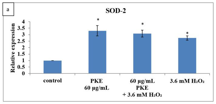 https://cdn.ncbi.nlm.nih.gov/pmc/blobs/2b53/8540341/1a4625f923dc/molecules-26-06287-g005a.jpg