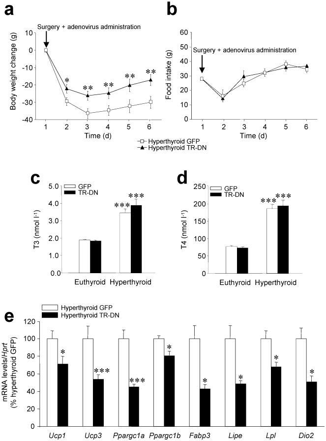 https://cdn.ncbi.nlm.nih.gov/pmc/blobs/2b55/2935934/02f08e8f2e55/nihms-227316-f0004.jpg