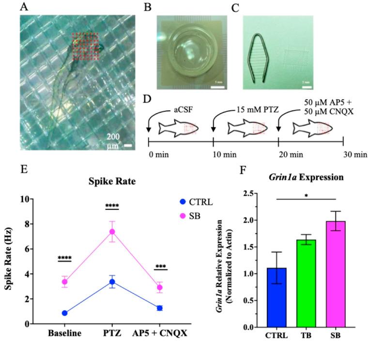 https://cdn.ncbi.nlm.nih.gov/pmc/blobs/2b59/11353230/7f7c26989c17/biomolecules-14-00914-g011.jpg