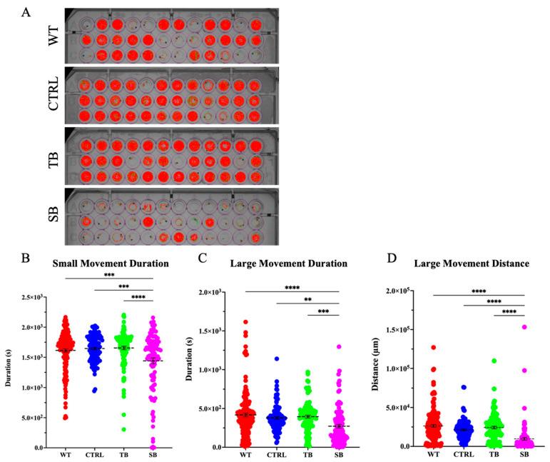 https://cdn.ncbi.nlm.nih.gov/pmc/blobs/2b59/11353230/d4727c22e527/biomolecules-14-00914-g010.jpg