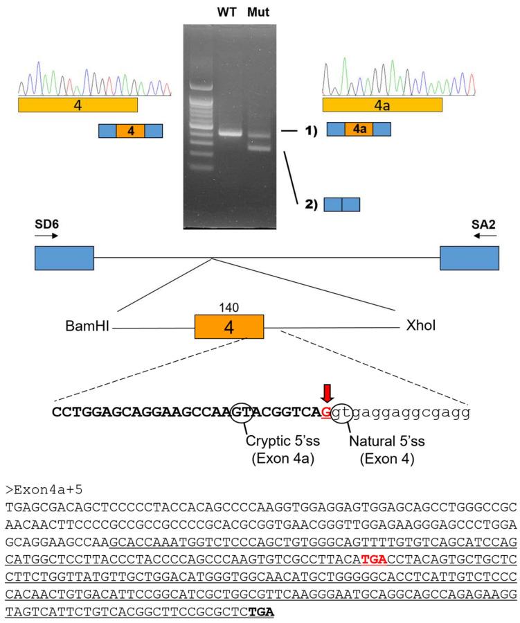 https://cdn.ncbi.nlm.nih.gov/pmc/blobs/2b5f/10890363/177faa073576/jpm-14-00191-g003.jpg
