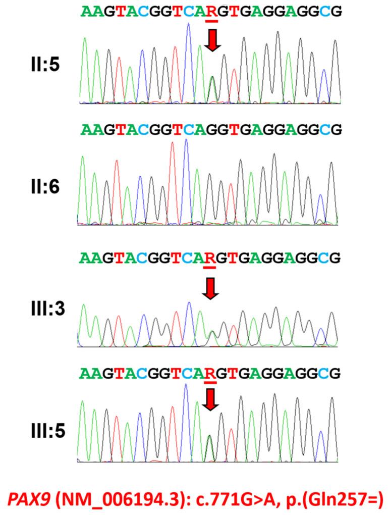 https://cdn.ncbi.nlm.nih.gov/pmc/blobs/2b5f/10890363/d7501a67a18f/jpm-14-00191-g002.jpg
