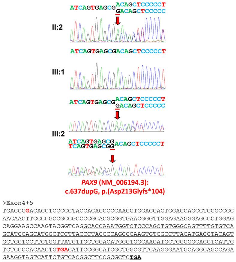https://cdn.ncbi.nlm.nih.gov/pmc/blobs/2b5f/10890363/f7e770950d08/jpm-14-00191-g005.jpg