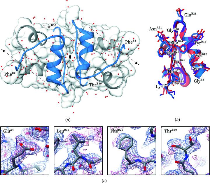 https://cdn.ncbi.nlm.nih.gov/pmc/blobs/2b60/10167666/657924f8b824/d-79-00374-fig5.jpg