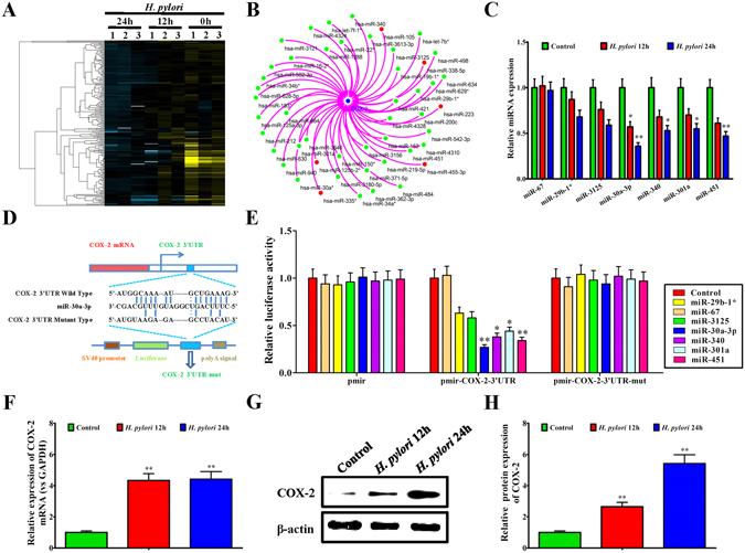 https://cdn.ncbi.nlm.nih.gov/pmc/blobs/2b60/5540978/fa33cd5f685e/41598_2017_7193_Fig1_HTML.jpg