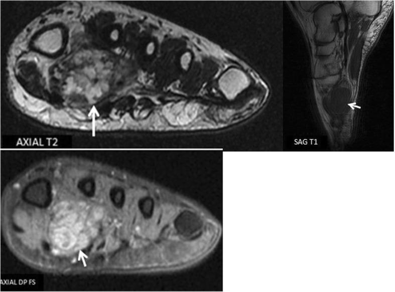 https://cdn.ncbi.nlm.nih.gov/pmc/blobs/2b60/6434622/225d3cf28131/13037_2019_197_Fig2_HTML.jpg
