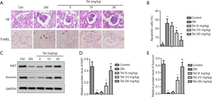 https://cdn.ncbi.nlm.nih.gov/pmc/blobs/2b60/7475465/ab24e74baabf/atm-08-16-990-f3.jpg