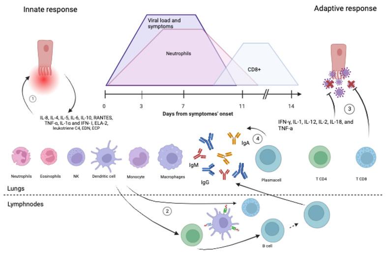 https://cdn.ncbi.nlm.nih.gov/pmc/blobs/2b61/10536346/c4b472b6d231/pathogens-12-01118-g003.jpg