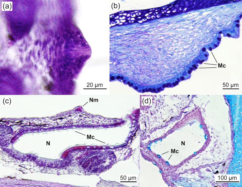 https://cdn.ncbi.nlm.nih.gov/pmc/blobs/2b62/12077701/b158529e1d27/pone.0323012.g004.jpg
