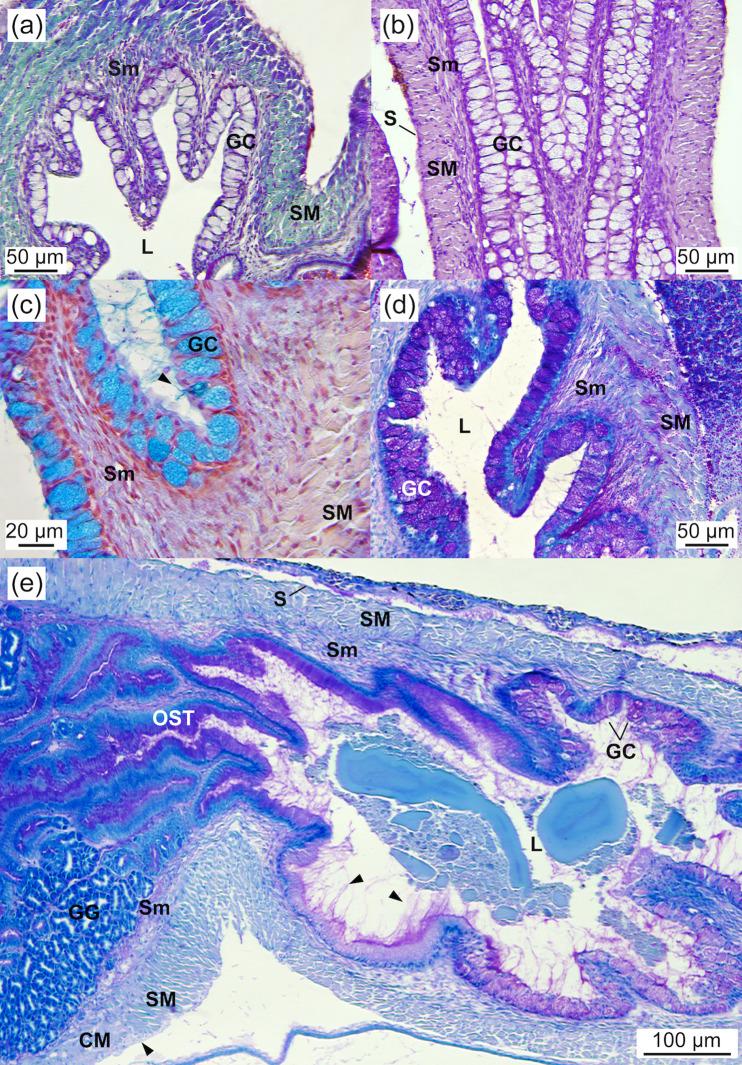 https://cdn.ncbi.nlm.nih.gov/pmc/blobs/2b62/12077701/dbf175cc7e76/pone.0323012.g005.jpg