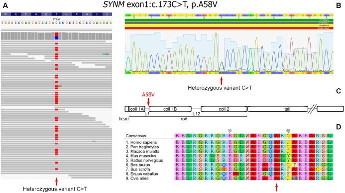 https://cdn.ncbi.nlm.nih.gov/pmc/blobs/2b62/6013977/7168fd3e9636/fgene-09-00209-g003.jpg
