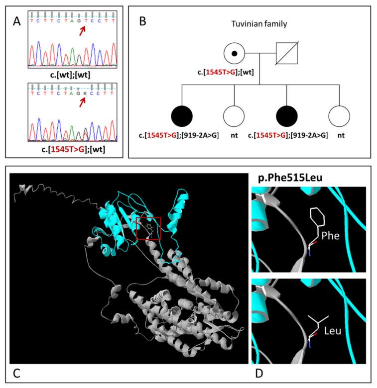 https://cdn.ncbi.nlm.nih.gov/pmc/blobs/2b63/8699871/cc899119e630/diagnostics-11-02378-g002.jpg