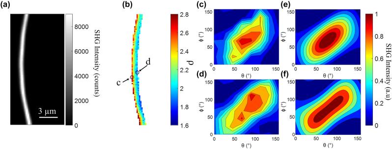 https://cdn.ncbi.nlm.nih.gov/pmc/blobs/2b64/11501348/eb20eb19b6f7/j_nanoph-2023-0177_fig_003.jpg