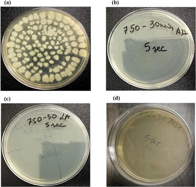 https://cdn.ncbi.nlm.nih.gov/pmc/blobs/2b65/8811942/2750836ac4dd/ao1c06124_0002.jpg