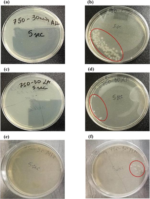 https://cdn.ncbi.nlm.nih.gov/pmc/blobs/2b65/8811942/dd700f533a3f/ao1c06124_0007.jpg