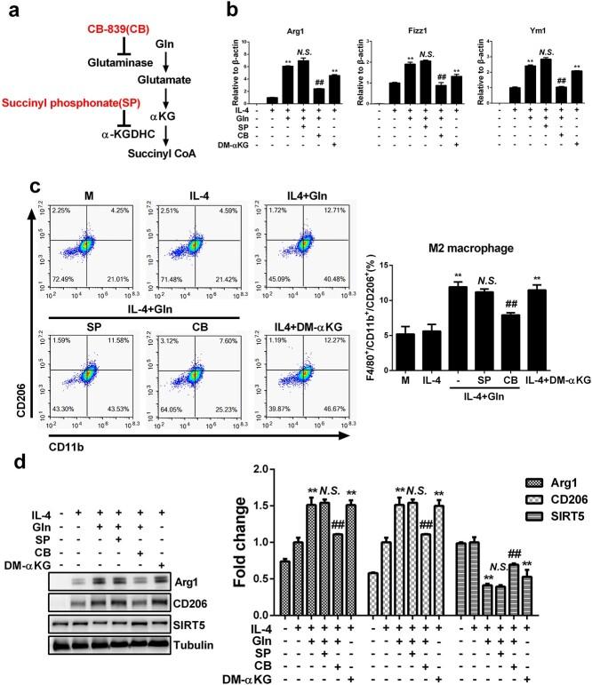 https://cdn.ncbi.nlm.nih.gov/pmc/blobs/2b65/9801296/a19c7e4fba9c/tkac041f8.jpg