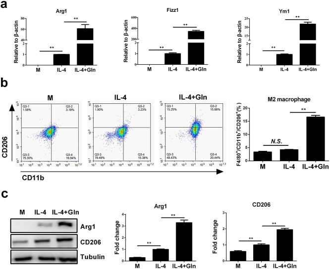 https://cdn.ncbi.nlm.nih.gov/pmc/blobs/2b65/9801296/e8cc9716eef1/tkac041f3.jpg