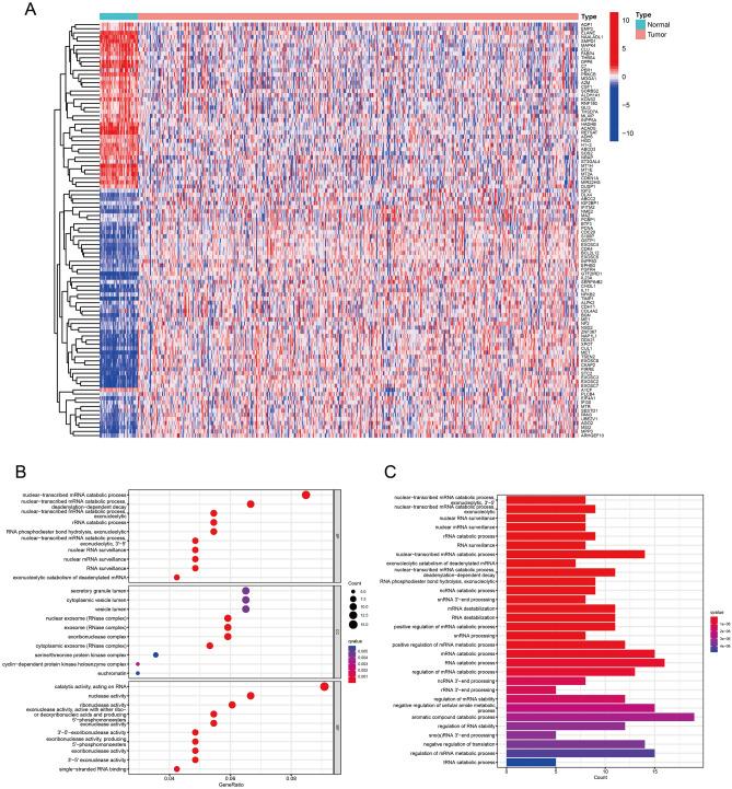 https://cdn.ncbi.nlm.nih.gov/pmc/blobs/2b68/10060236/d8ee126dee96/41598_2023_32457_Fig1_HTML.jpg