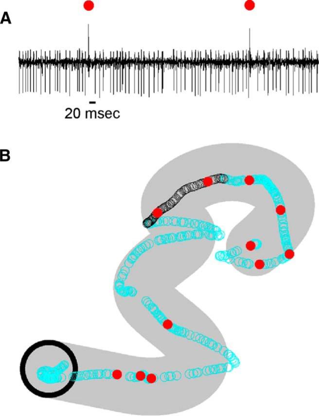 https://cdn.ncbi.nlm.nih.gov/pmc/blobs/2b68/5388669/eec71e42b369/enu0021722820001.jpg