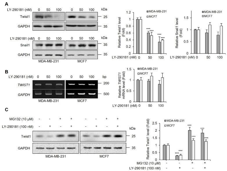https://cdn.ncbi.nlm.nih.gov/pmc/blobs/2b69/10390291/db4eed915b5e/bmb-56-7-410-f2.jpg