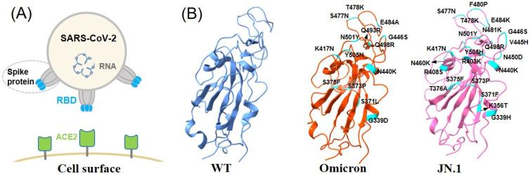 https://cdn.ncbi.nlm.nih.gov/pmc/blobs/2b69/11124494/503b2f7f1bb2/molecules-29-02215-g001.jpg
