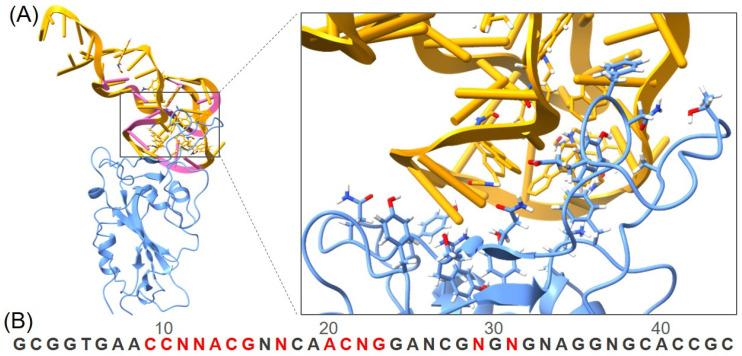 https://cdn.ncbi.nlm.nih.gov/pmc/blobs/2b69/11124494/5c4b4b4d37f6/molecules-29-02215-g002.jpg