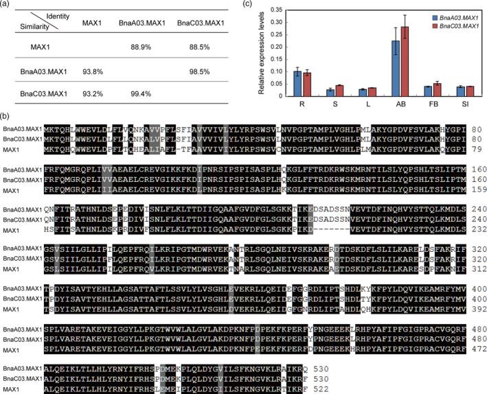 https://cdn.ncbi.nlm.nih.gov/pmc/blobs/2b6a/11386734/bb21aef4bccb/PBI-18-644-g005.jpg