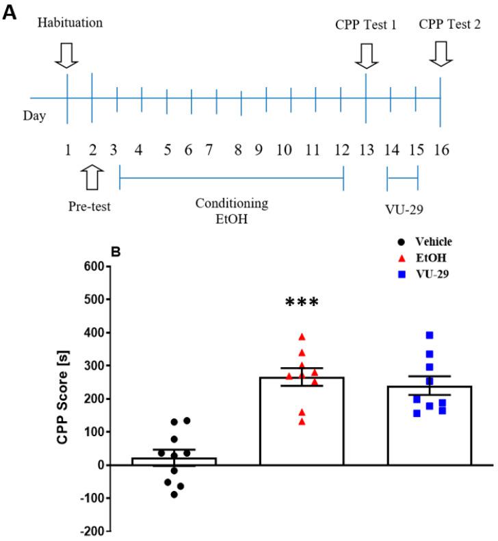https://cdn.ncbi.nlm.nih.gov/pmc/blobs/2b6a/7277181/56fbf54eeef1/biomolecules-10-00793-g001.jpg