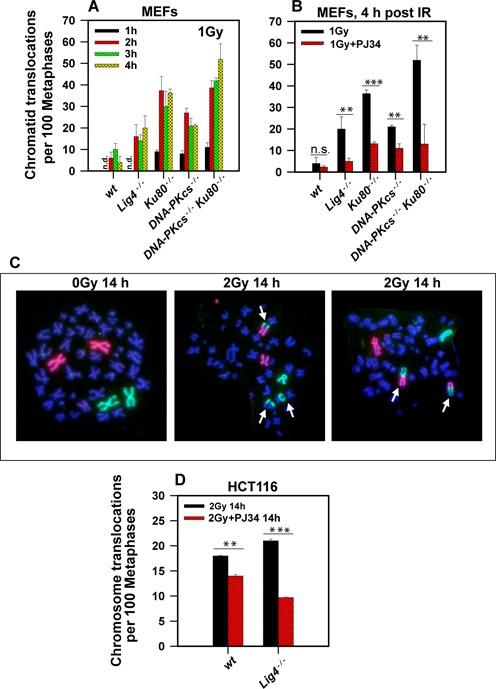https://cdn.ncbi.nlm.nih.gov/pmc/blobs/2b6c/4041464/59a862230083/gku298fig2.jpg