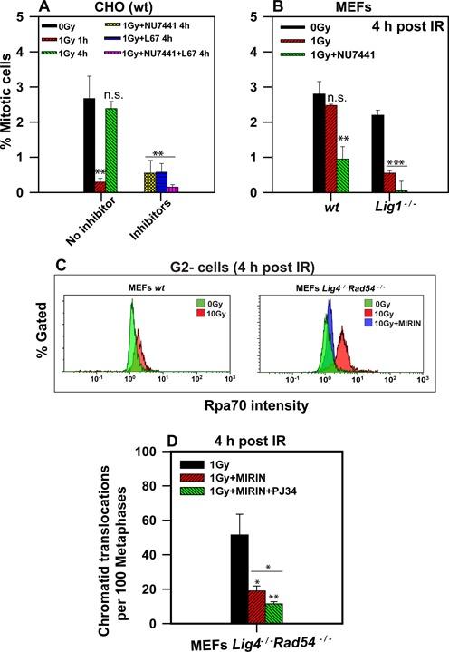 https://cdn.ncbi.nlm.nih.gov/pmc/blobs/2b6c/4041464/61ec864bffbb/gku298fig6.jpg