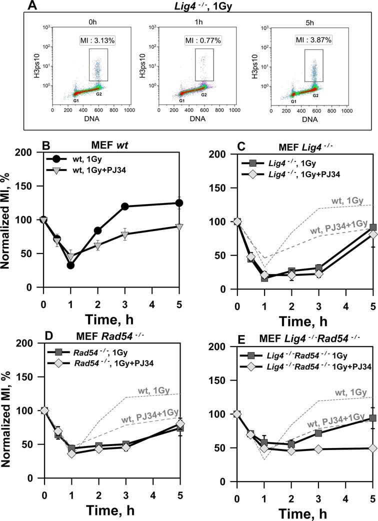 https://cdn.ncbi.nlm.nih.gov/pmc/blobs/2b6c/4041464/757d19e134d1/gku298fig5.jpg