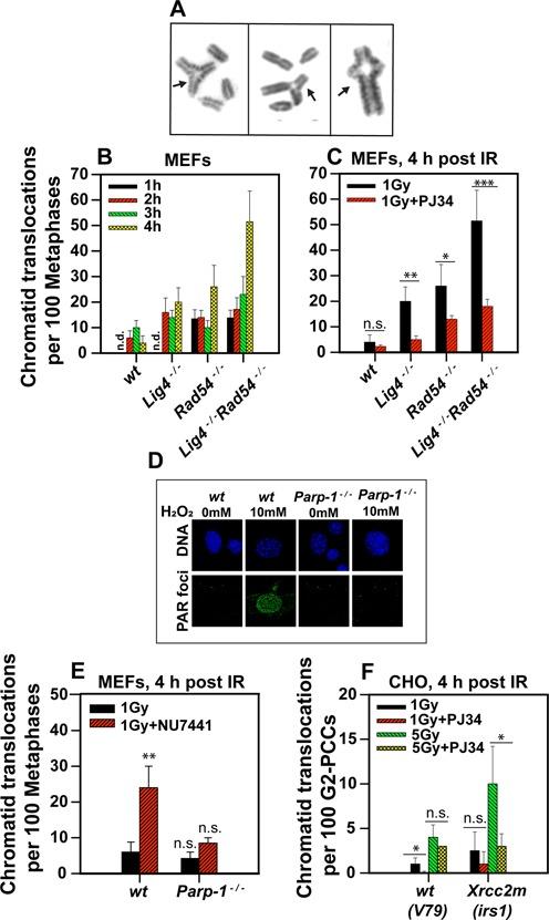 https://cdn.ncbi.nlm.nih.gov/pmc/blobs/2b6c/4041464/87336d8a7b98/gku298fig1.jpg