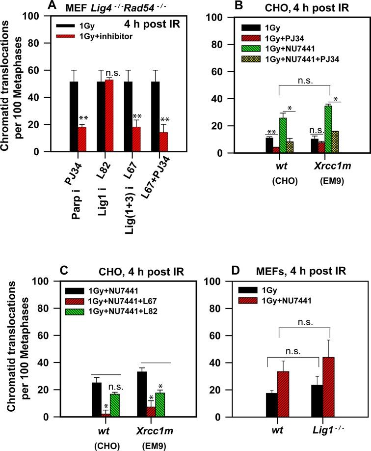 https://cdn.ncbi.nlm.nih.gov/pmc/blobs/2b6c/4041464/f9c1c571e6a7/gku298fig3.jpg