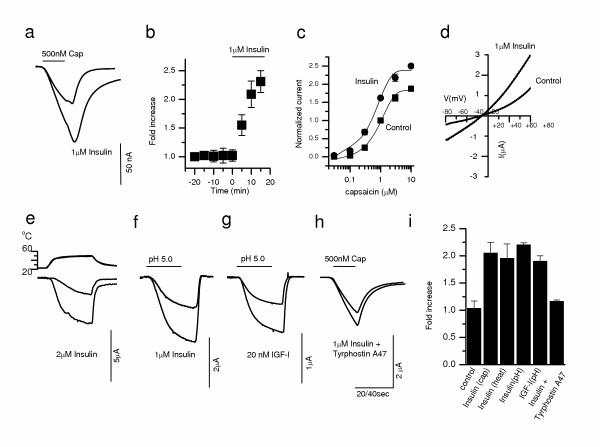 https://cdn.ncbi.nlm.nih.gov/pmc/blobs/2b6d/1142339/ff8ed40dcbc4/1744-8069-1-17-1.jpg