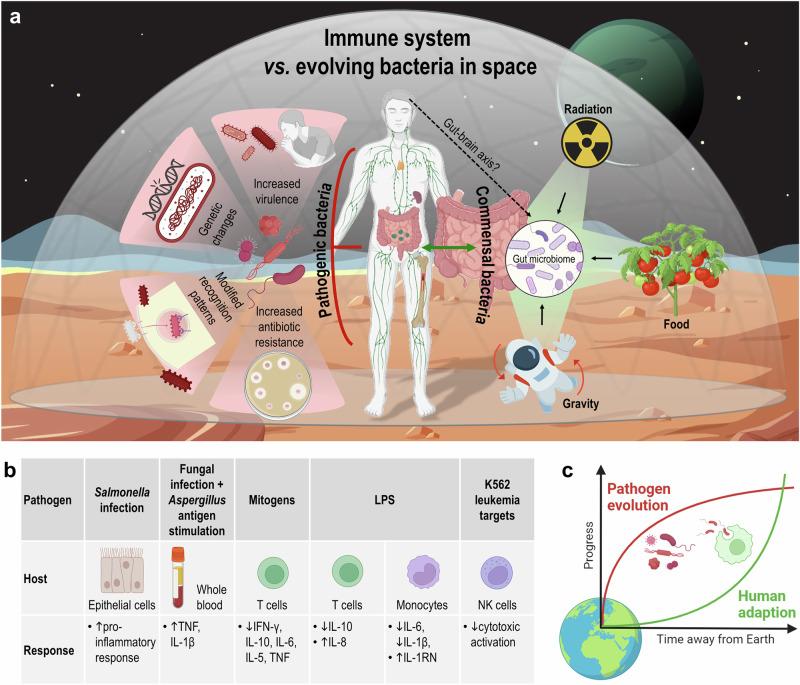 https://cdn.ncbi.nlm.nih.gov/pmc/blobs/2b6d/11574097/45f3d7506462/41526_2024_446_Fig3_HTML.jpg