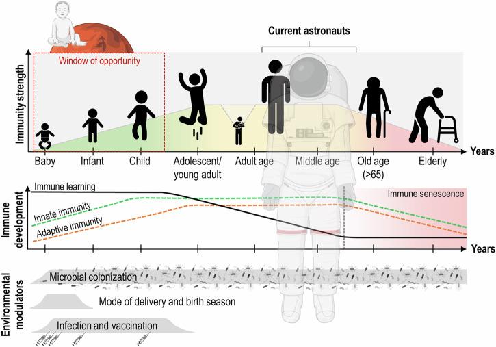 https://cdn.ncbi.nlm.nih.gov/pmc/blobs/2b6d/11574097/5fe6c0863817/41526_2024_446_Fig4_HTML.jpg