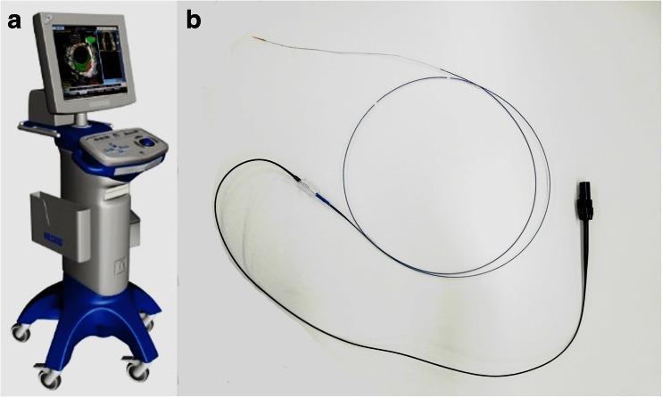 https://cdn.ncbi.nlm.nih.gov/pmc/blobs/2b6e/4551534/e0ff2c82b90b/234_2015_1530_Fig1_HTML.jpg