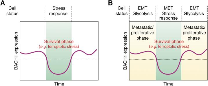https://cdn.ncbi.nlm.nih.gov/pmc/blobs/2b6f/8387770/59a54ff076f7/gr4.jpg