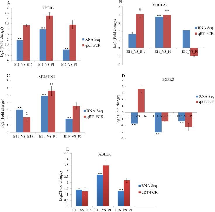 https://cdn.ncbi.nlm.nih.gov/pmc/blobs/2b70/5915118/94750b157d89/oncotarget-09-17309-g007.jpg