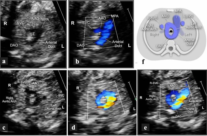 https://cdn.ncbi.nlm.nih.gov/pmc/blobs/2b72/8604842/82e050234664/10554_2021_2325_Fig3_HTML.jpg