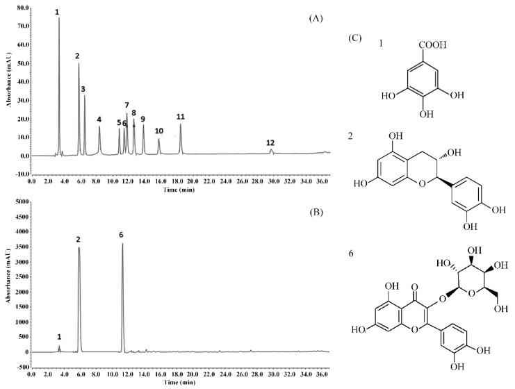 https://cdn.ncbi.nlm.nih.gov/pmc/blobs/2b73/6912415/69246257e770/antioxidants-08-00524-g006.jpg