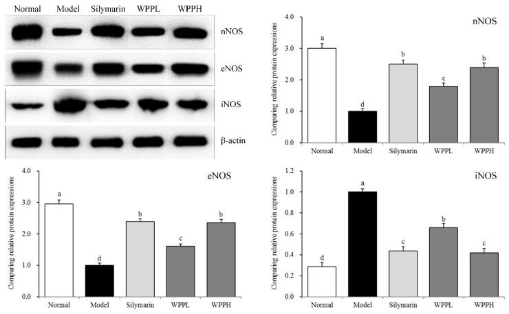 https://cdn.ncbi.nlm.nih.gov/pmc/blobs/2b73/6912415/6b0cc4543934/antioxidants-08-00524-g004.jpg
