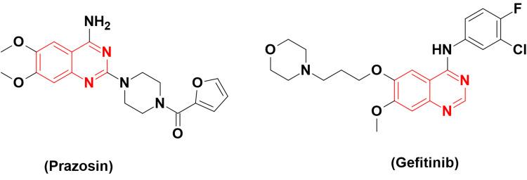 https://cdn.ncbi.nlm.nih.gov/pmc/blobs/2b74/11186210/e43b2e8ef997/cureus-0016-00000060662-i05.jpg