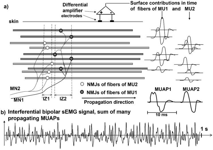 https://cdn.ncbi.nlm.nih.gov/pmc/blobs/2b74/9185290/78f80e1d32c3/sensors-22-04150-g003.jpg